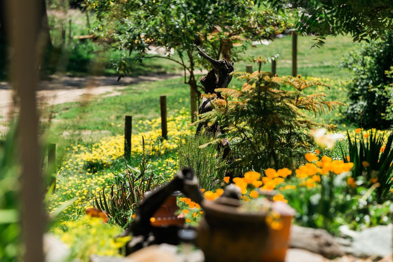 جيرنفيل Riverlane Resort المظهر الخارجي الصورة